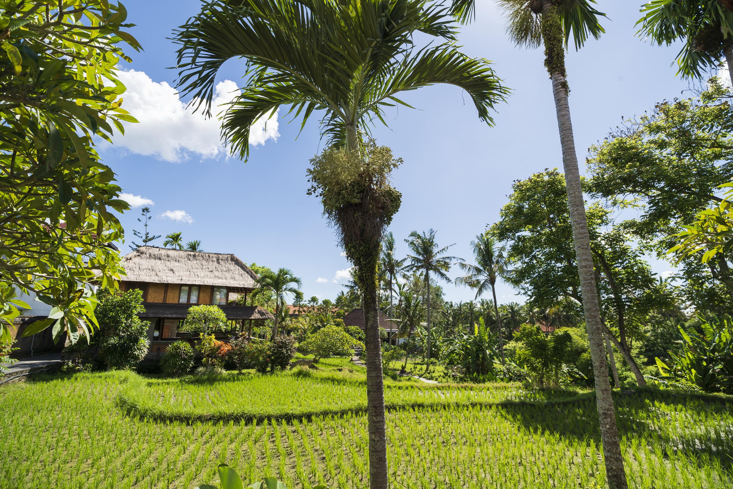 Agung Raka Villa Ubud Exterior foto