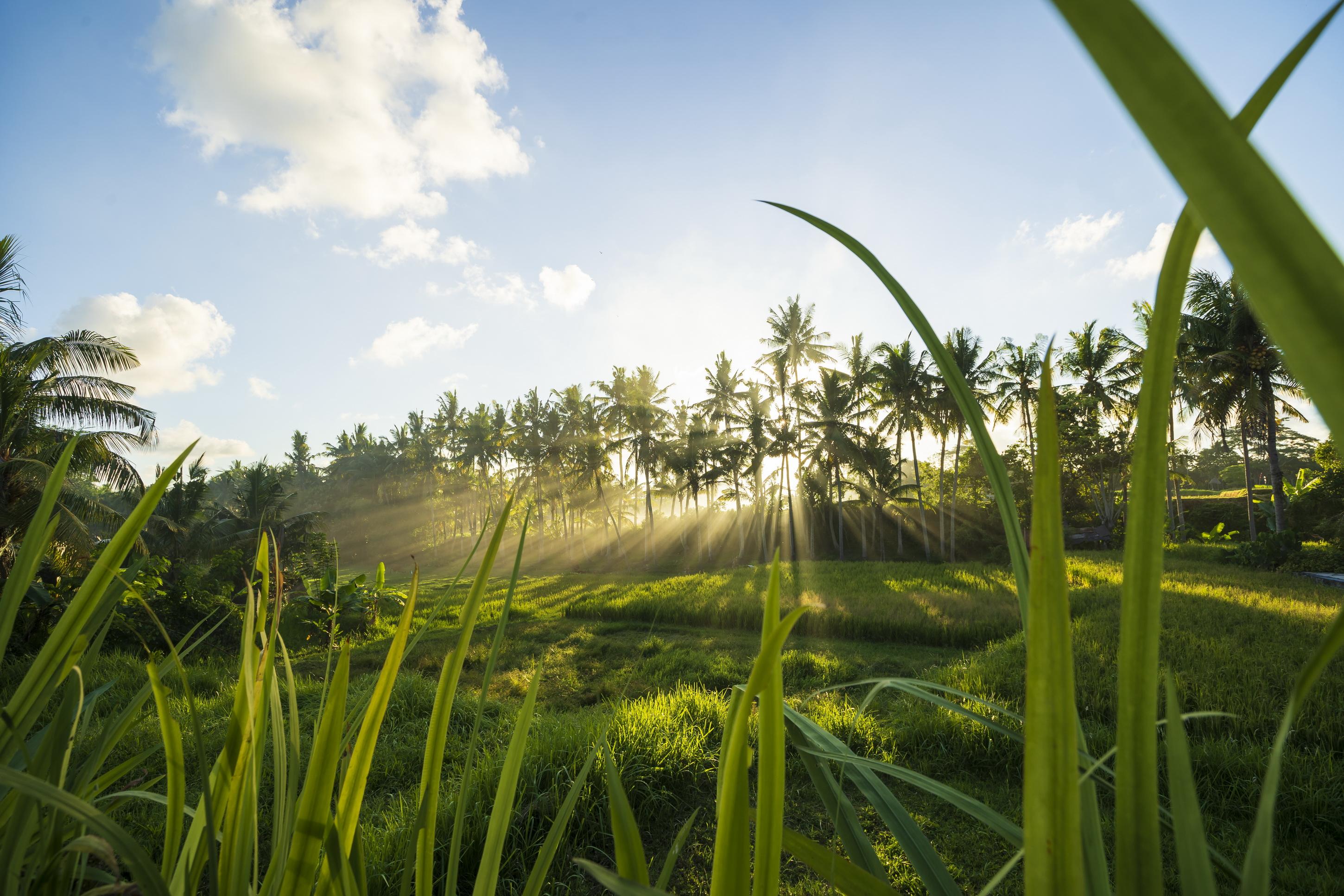 Agung Raka Villa Ubud Exterior foto